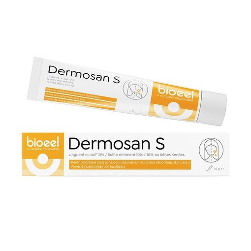 Unguent cu sulf 10% Dermosan S, 70g, Bioeel