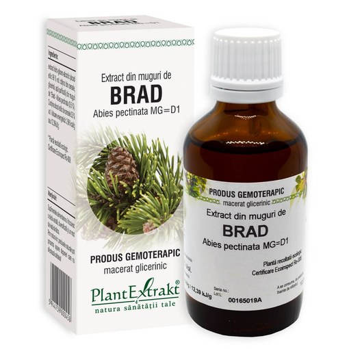 Extract din muguri de Brad, 50ml, PlantExtrakt