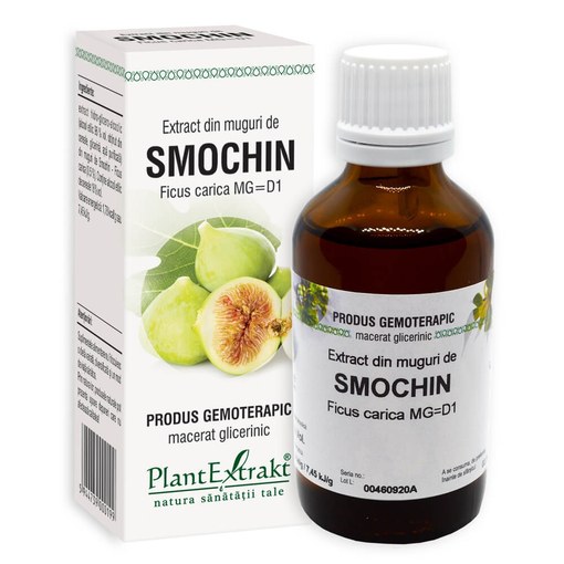 Extract din muguri de Smochin, 50ml, PlantExtrakt