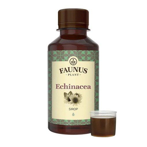 Sirop Echinacea, 200 ml, Faunus Plant